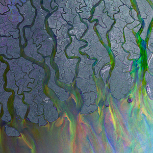 Alt-J - An Awesome Wave (2012)